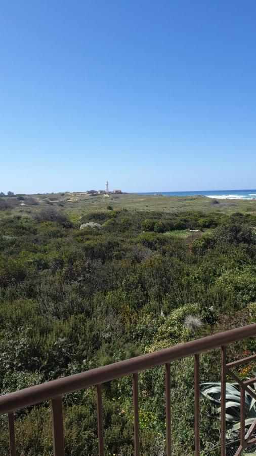 Ancient Paphos - Cozy Place Next To The Sea, Marina, Historical Sites, Buses, Mall, And Market المظهر الخارجي الصورة