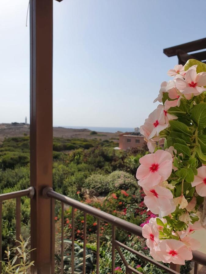 Ancient Paphos - Cozy Place Next To The Sea, Marina, Historical Sites, Buses, Mall, And Market المظهر الخارجي الصورة