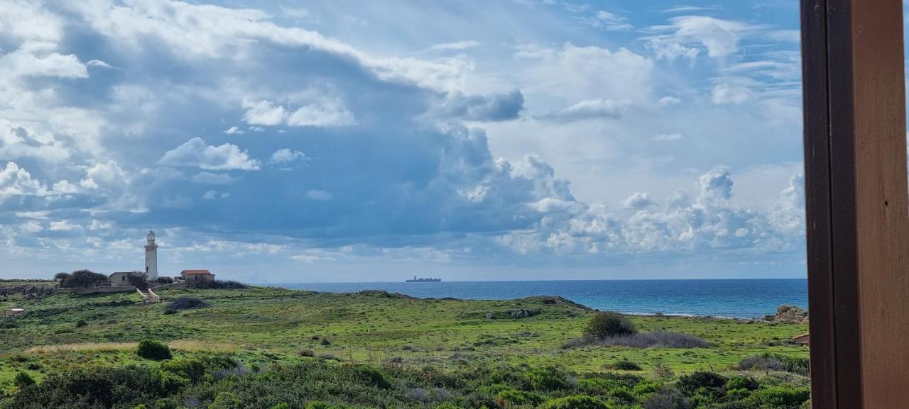 Ancient Paphos - Cozy Place Next To The Sea, Marina, Historical Sites, Buses, Mall, And Market المظهر الخارجي الصورة