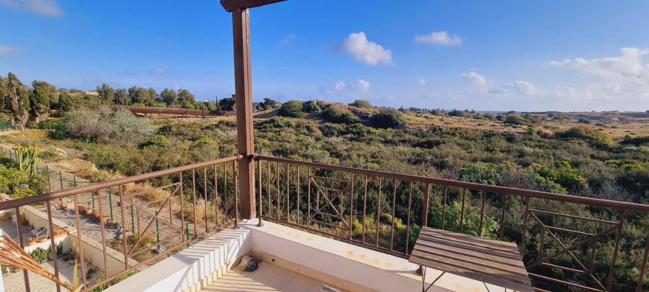 Ancient Paphos - Cozy Place Next To The Sea, Marina, Historical Sites, Buses, Mall, And Market المظهر الخارجي الصورة