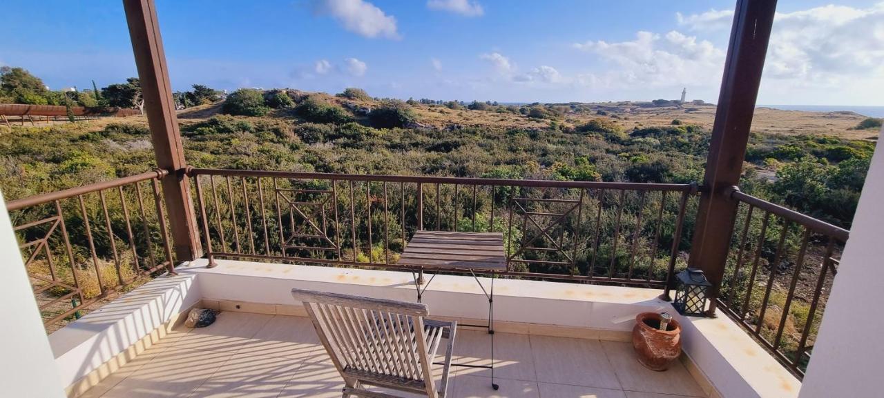 Ancient Paphos - Cozy Place Next To The Sea, Marina, Historical Sites, Buses, Mall, And Market المظهر الخارجي الصورة