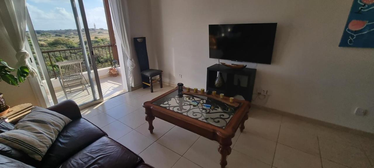 Ancient Paphos - Cozy Place Next To The Sea, Marina, Historical Sites, Buses, Mall, And Market المظهر الخارجي الصورة